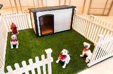 Resorts World � Three Robotic Puppies