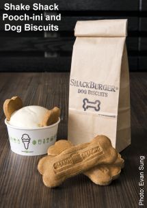 Shake Shack Pooch-Ini