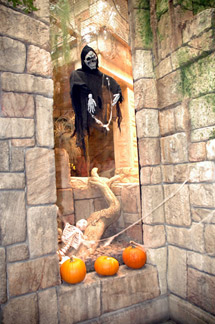 Shark Reef Aquarium Haunted Reef