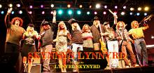 Skynnyn Lynnyrd - Tribute to Lynyrd Skynyrd