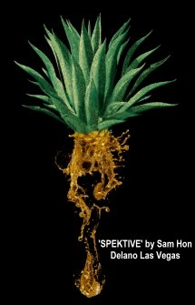 SPEKTIVE by Sam Hon - Delano Las Vegas