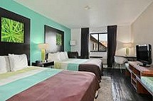 Super 8 Remodeled Queen Room