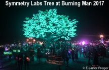 Symmetry Labs tree at Burning Man 2017