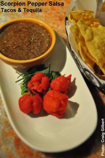 Tacos and Tequila, scorpion pepper salsa