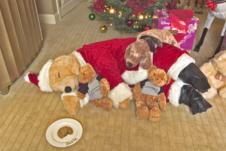 Teddy Bear Santa Sleeping