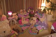 Teddy Bear Suite