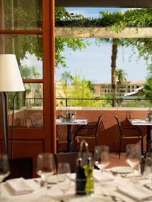 Terra Verde Cafe