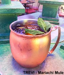 TREVI Mariachi Mule