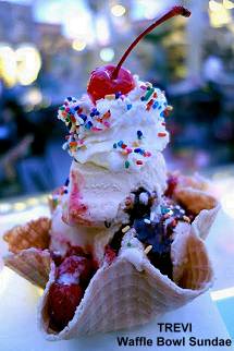 TREVI Waffle Bowl Sundae