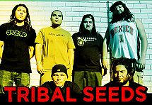 Tribal Seeds
