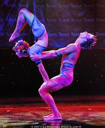 Tuaca Body Art Ball