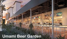 Umami Beer Garden