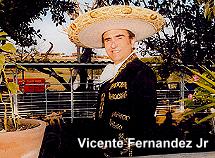 Vicente Fernandez Jr.