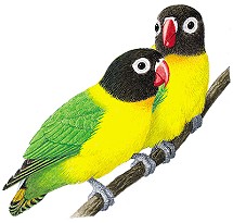 Wayne Newton Love Birds