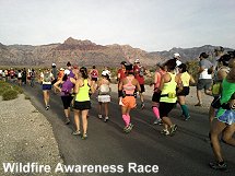 Wildfire Awareness Race