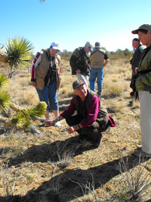 Wings and Wildlife Festival