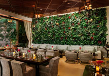 Wynn - La Cave - Succulent Wall credit Jeff Green