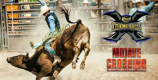 Xtreme Bulls
